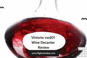 Vintorio vwd01 Wine Decanter Review