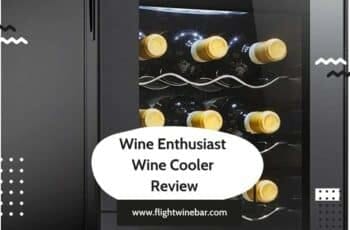 Wine Enthusiast Dual Zone Wine Cooler Review