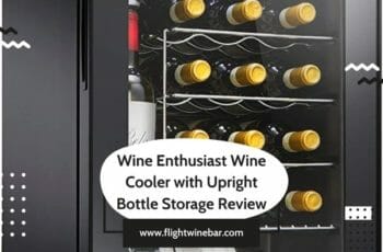 Wine Enthusiast Wine Cooler with Upright Bottle Storage Review