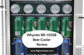 ‎Whynter ‎BR-130SB Beer Cooler Review