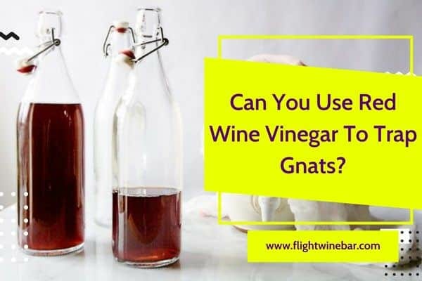 Can You Use Red Wine Vinegar To Trap Gnats