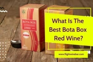 What Is The Best Bota Box Red Wine