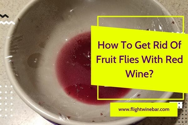 How To Get Rid Of Fruit Flies With Red Wine