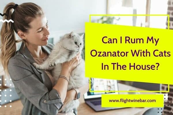 Can I Rum My Ozanator With Cats In The House