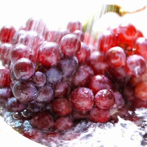 Preparing Grapes for Storage