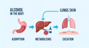 Why Do I Smell Like Alcohol After One Drink