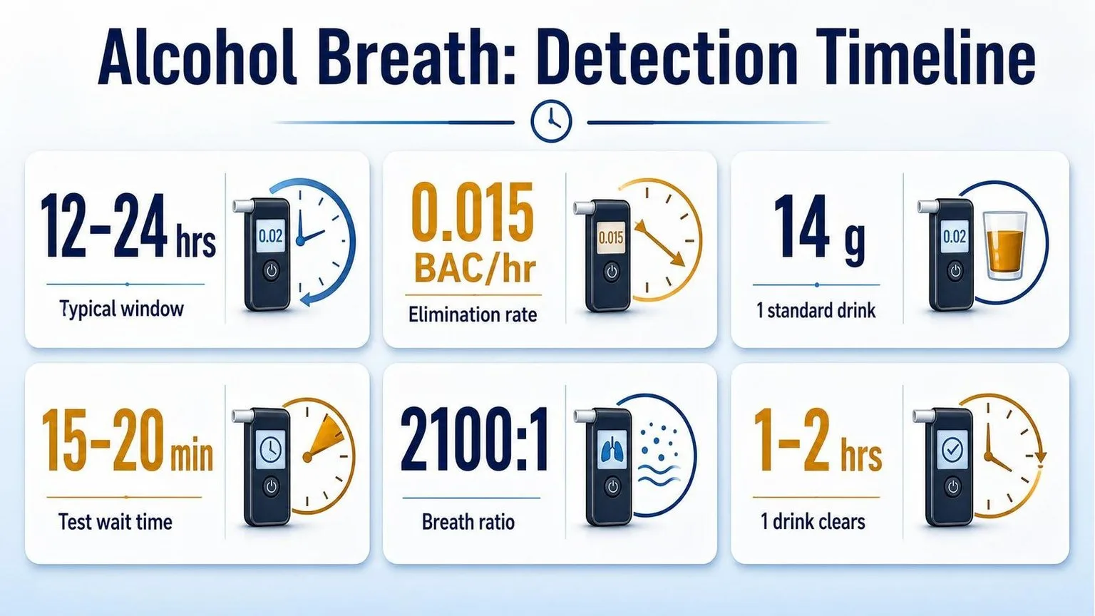 How Long Alcohol Stays on Breath — key facts at a glance