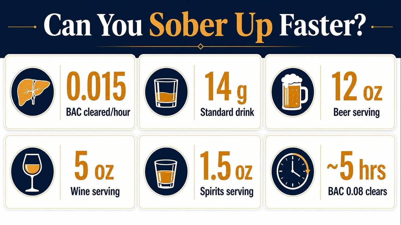 How To Metabolize Alcohol Faster? Answer From Expert 1 Alcohol Metabolism: The Key Numbers — key facts at a glance