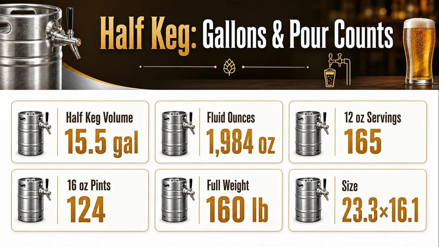 How Many Gallons In A Half Keg? 1 Half Keg by the Numbers — key facts at a glance