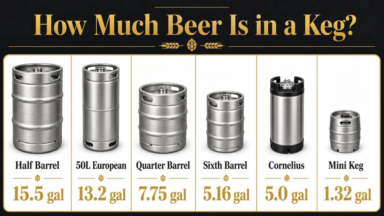 How Much Does A Keg Hold? 1 Keg Sizes & Servings at a Glance — key facts at a glance