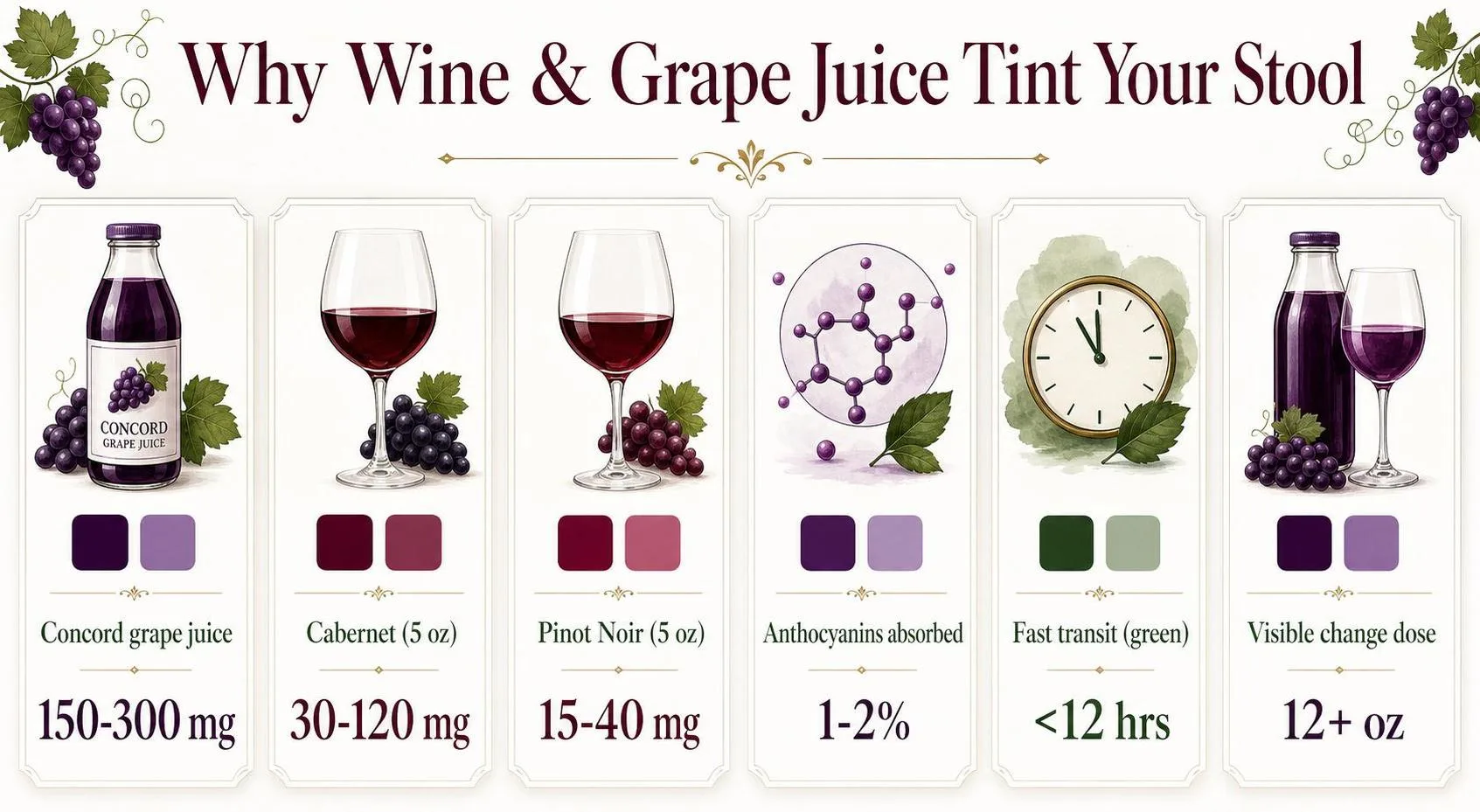 Can Red Wine And Grape Juice Cause Green Stool? 1 Why Wine & Grape Juice Tint Your Stool — key facts at a glance