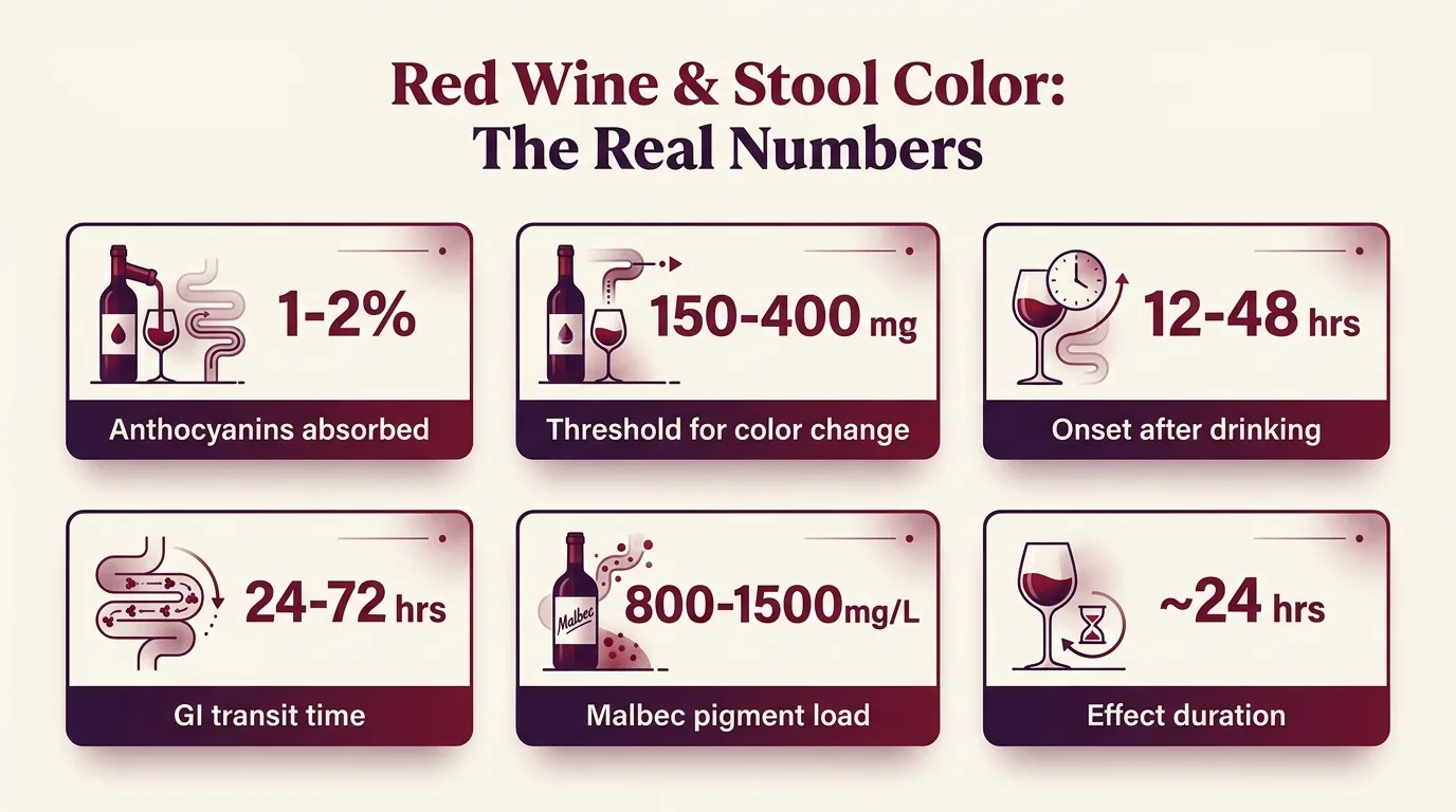 Red Wine & Stool Color: The Real Numbers — key facts at a glance