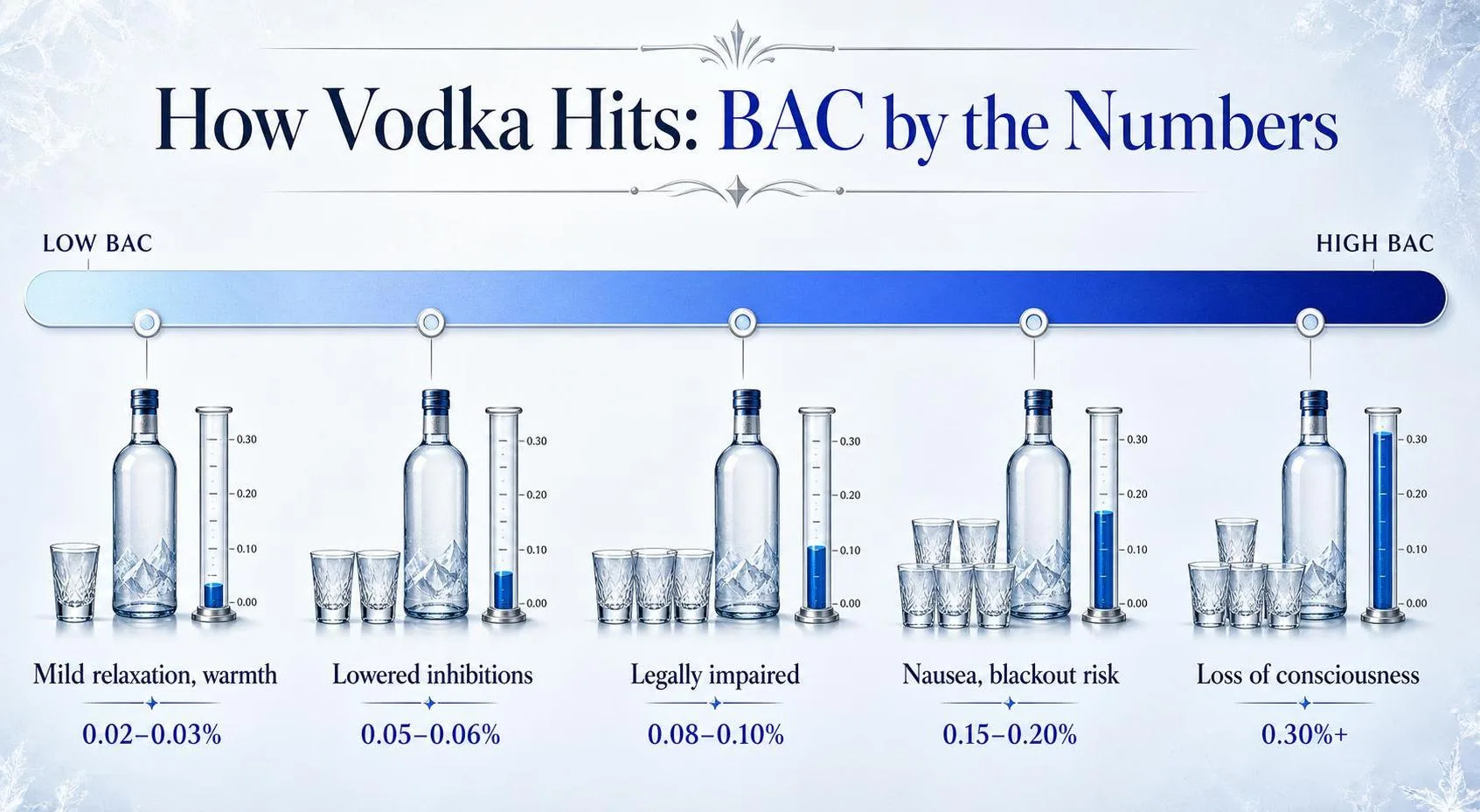 How Vodka Hits: BAC by the Numbers — key facts at a glance