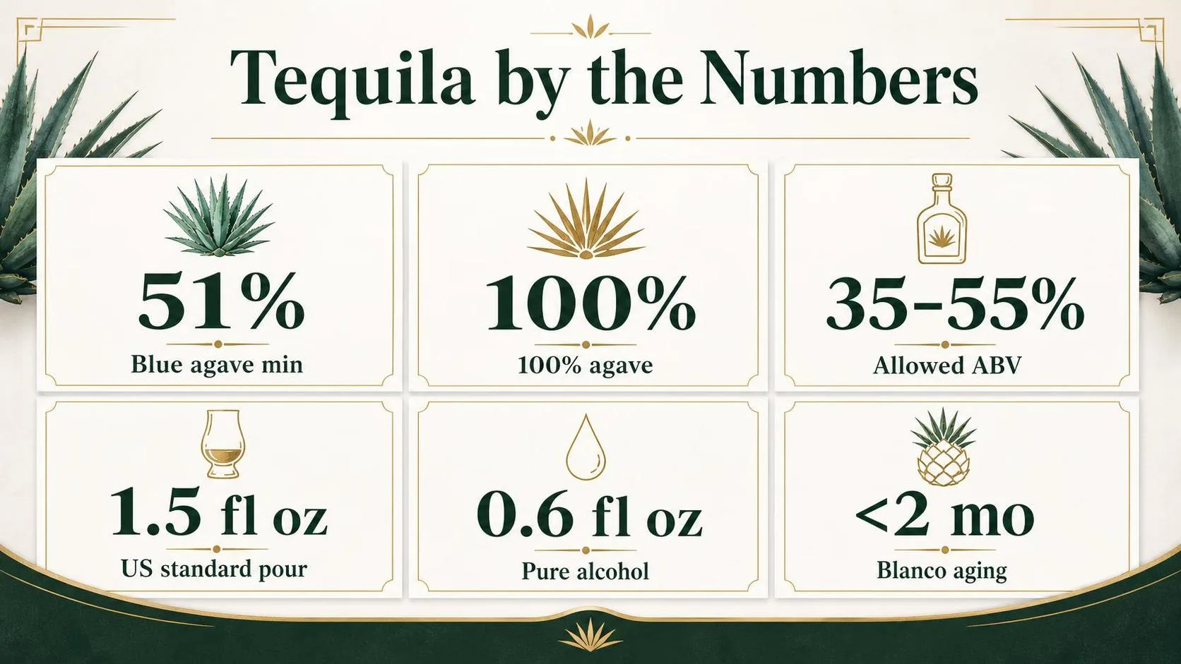 Tequila by the Numbers — key facts at a glance