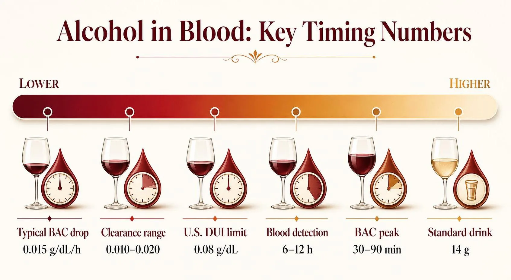 Alcohol in Blood: Key Timing Numbers — key facts at a glance