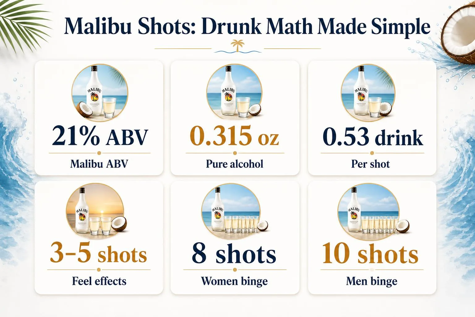 Malibu Shots: Drunk Math Made Simple — key facts at a glance