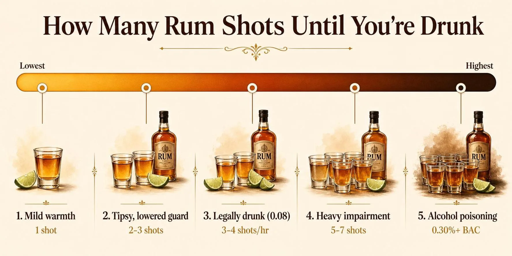 How Many Shots Of Rum To Get Drunk? A Realistic, Experience-Based Guide (With Safety in Mind) 1 How Many Rum Shots Until You're Drunk — key facts at a glance