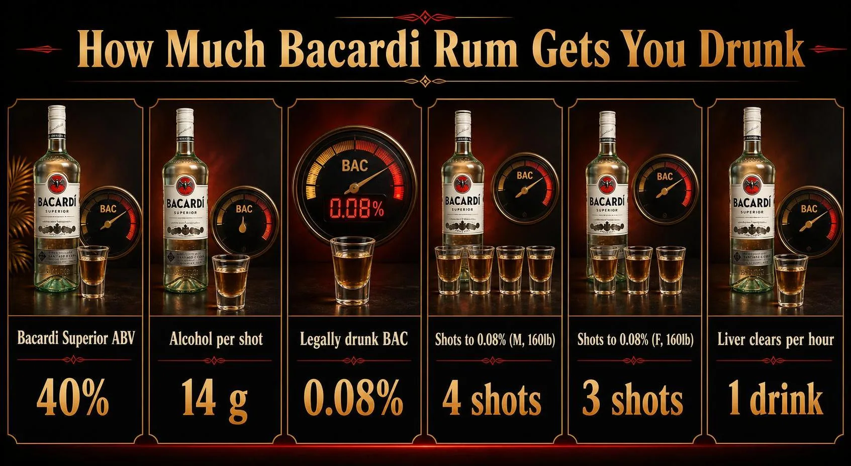 How Much Bacardi Rum Gets You Drunk — key facts at a glance