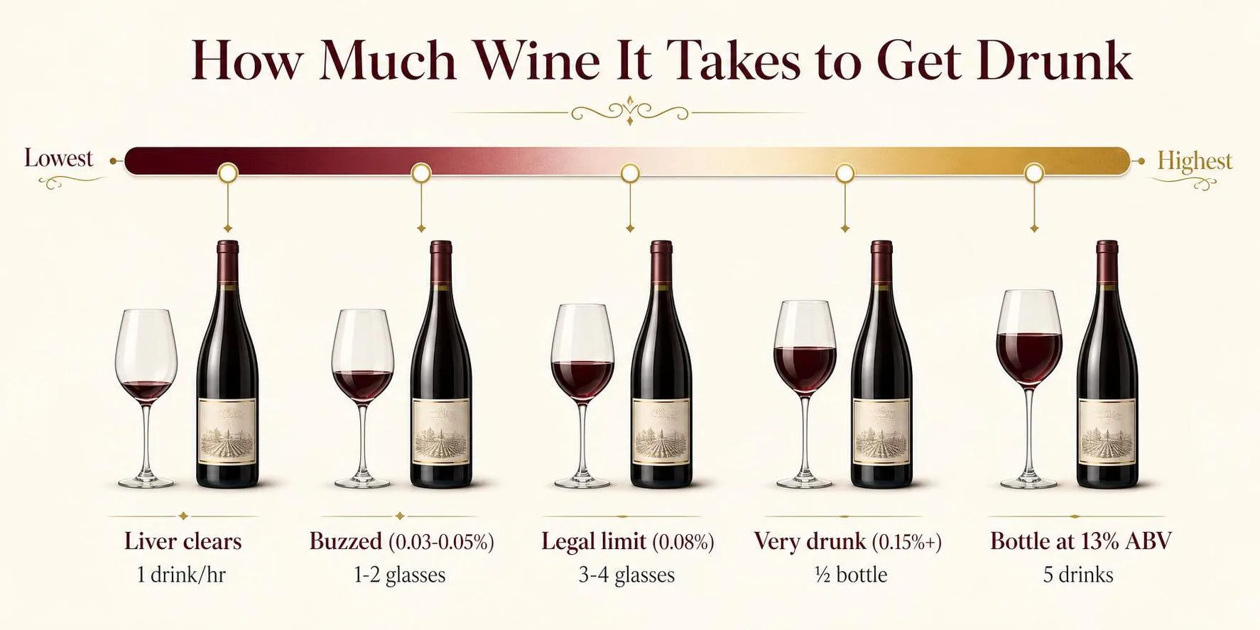 How Much Wine It Takes to Get Drunk — key facts at a glance
