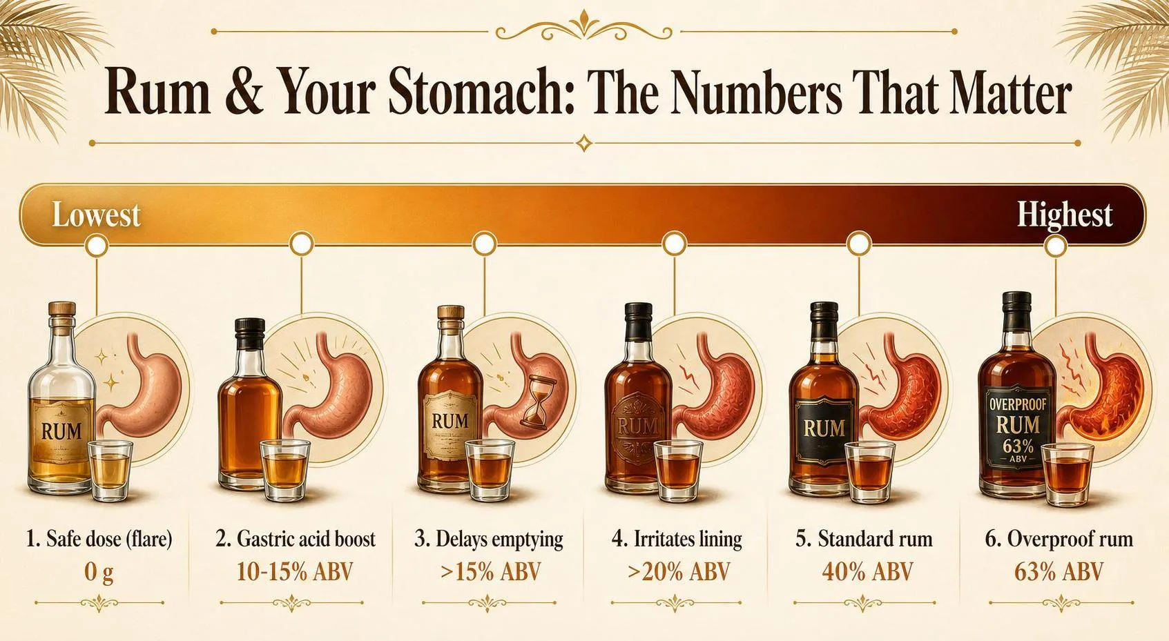Rum & Your Stomach: The Numbers That Matter — key facts at a glance