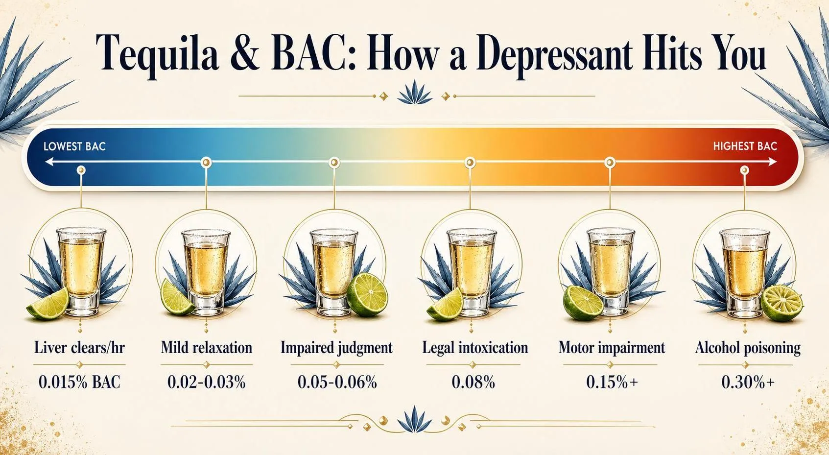 Is Tequila A Depressant? The Most Accurate Answer 1 Tequila & BAC: How a Depressant Hits You — key facts at a glance