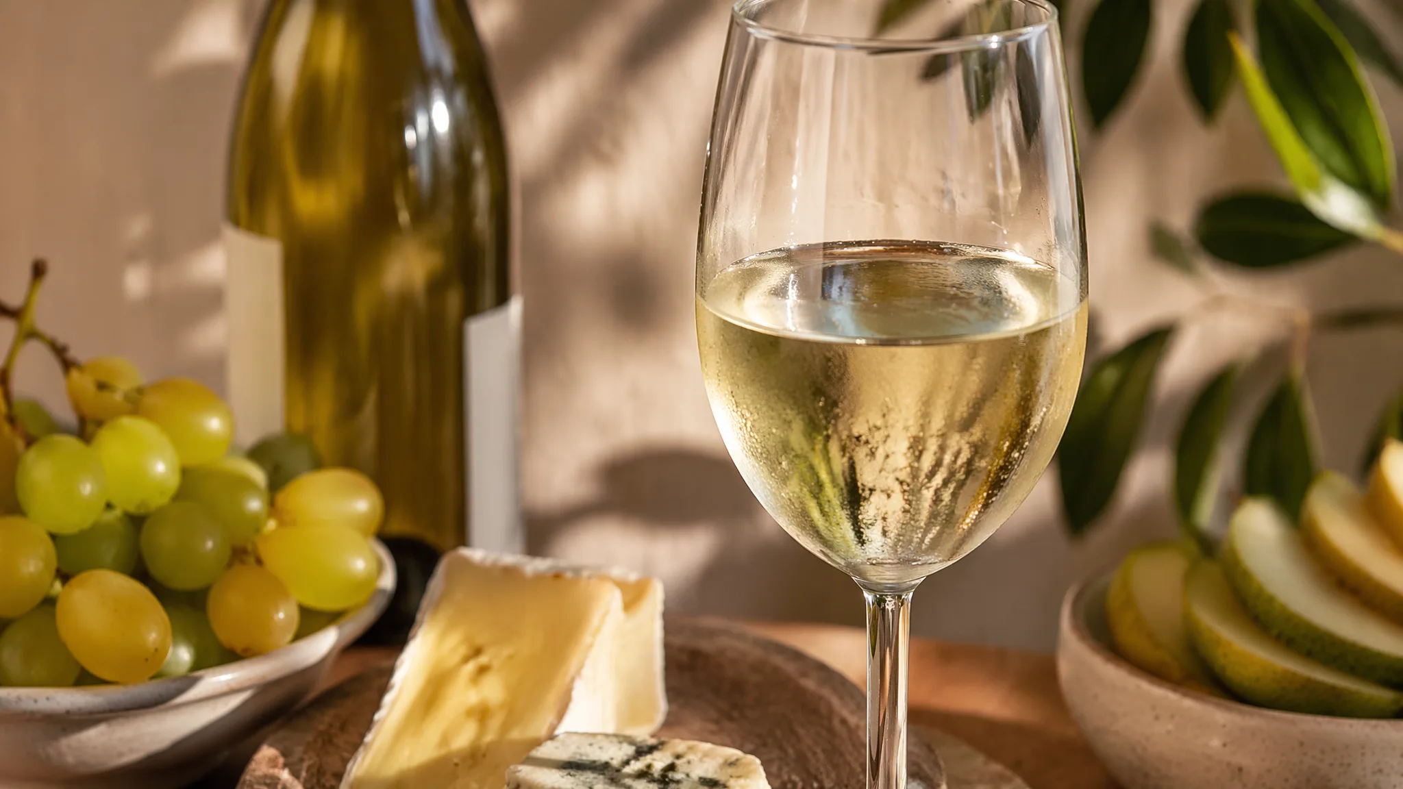 What Does Pinot Grigio Taste Like — explained with facts and figures in this guide
