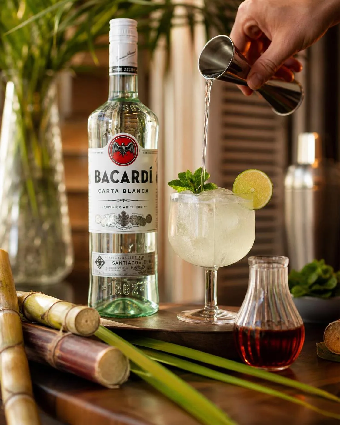 What Is Bacardi White Rum Made From? — explained with facts and figures in this guide
