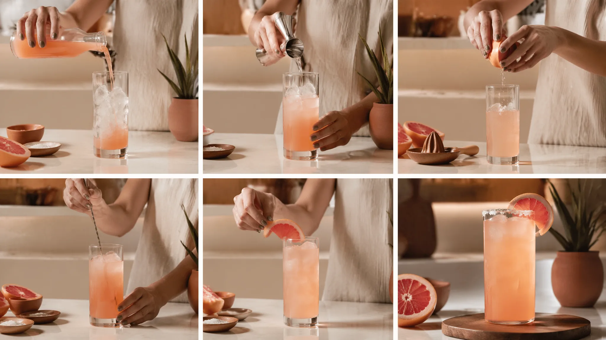 What Is New Mix Paloma — explained with facts and figures in this guide