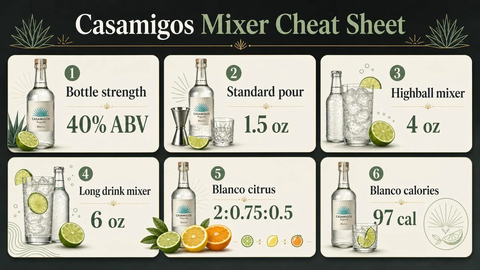 Casamigos Mixer Cheat Sheet — key facts at a glance