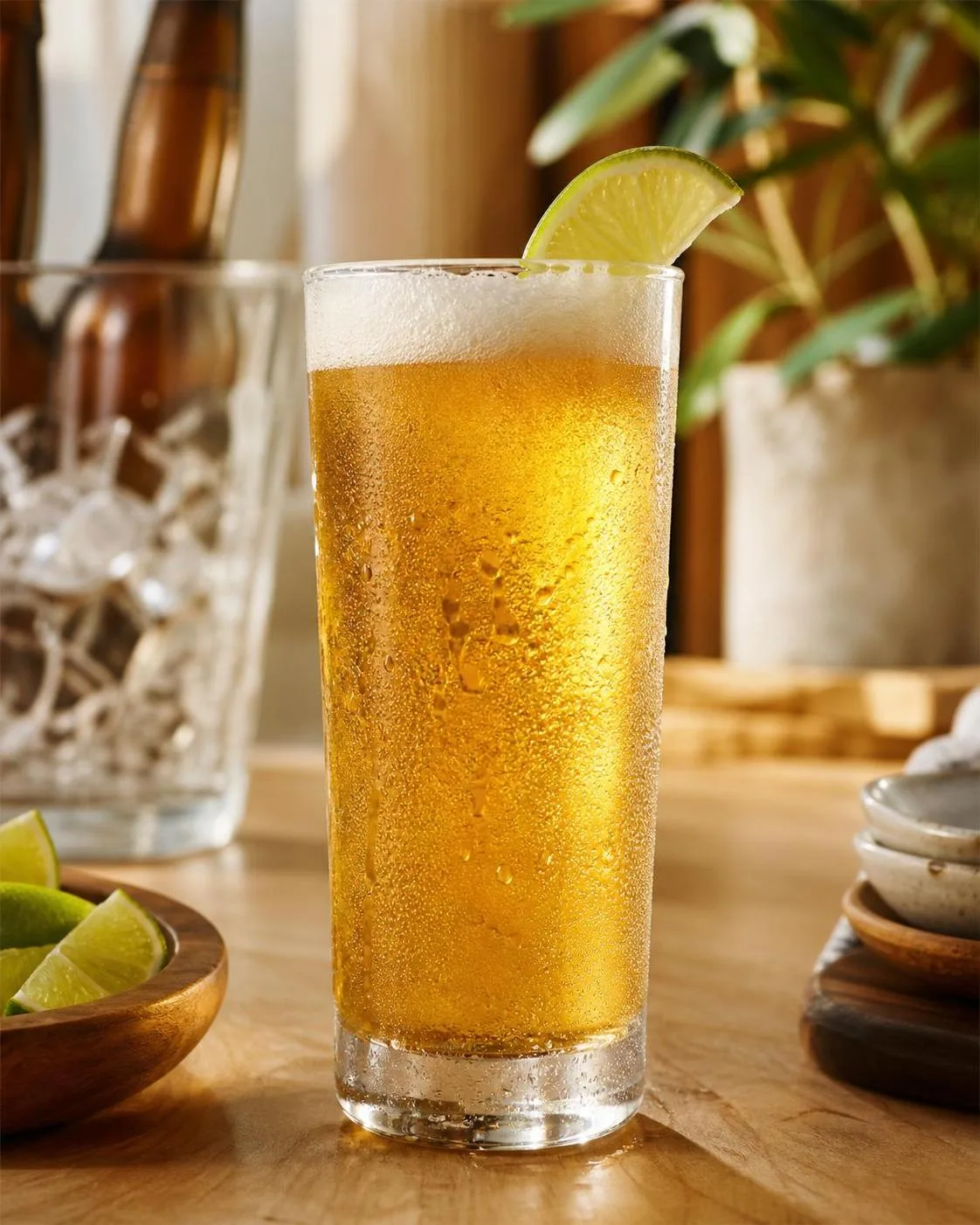 Where Is Pacifico Beer Brewed? — explained with facts and figures in this guide