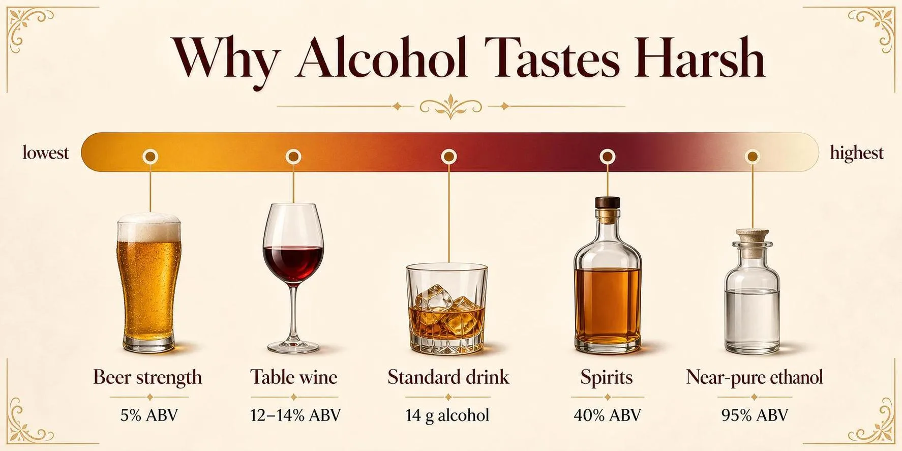 Why Does Alcohol Taste So Bad? 1 Why Alcohol Tastes Harsh — key facts at a glance