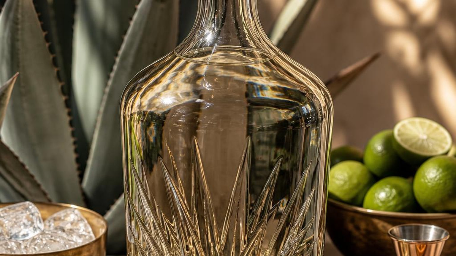 Biggest Bottle of Tequila — measured, not estimated, with sources cited