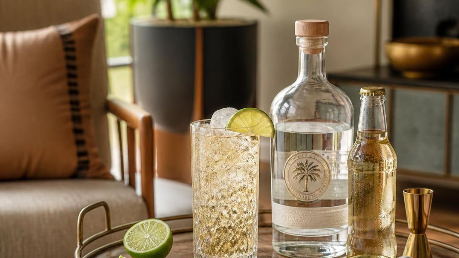 Can You Mix White Rum And Ginger Ale? — the details worth knowing