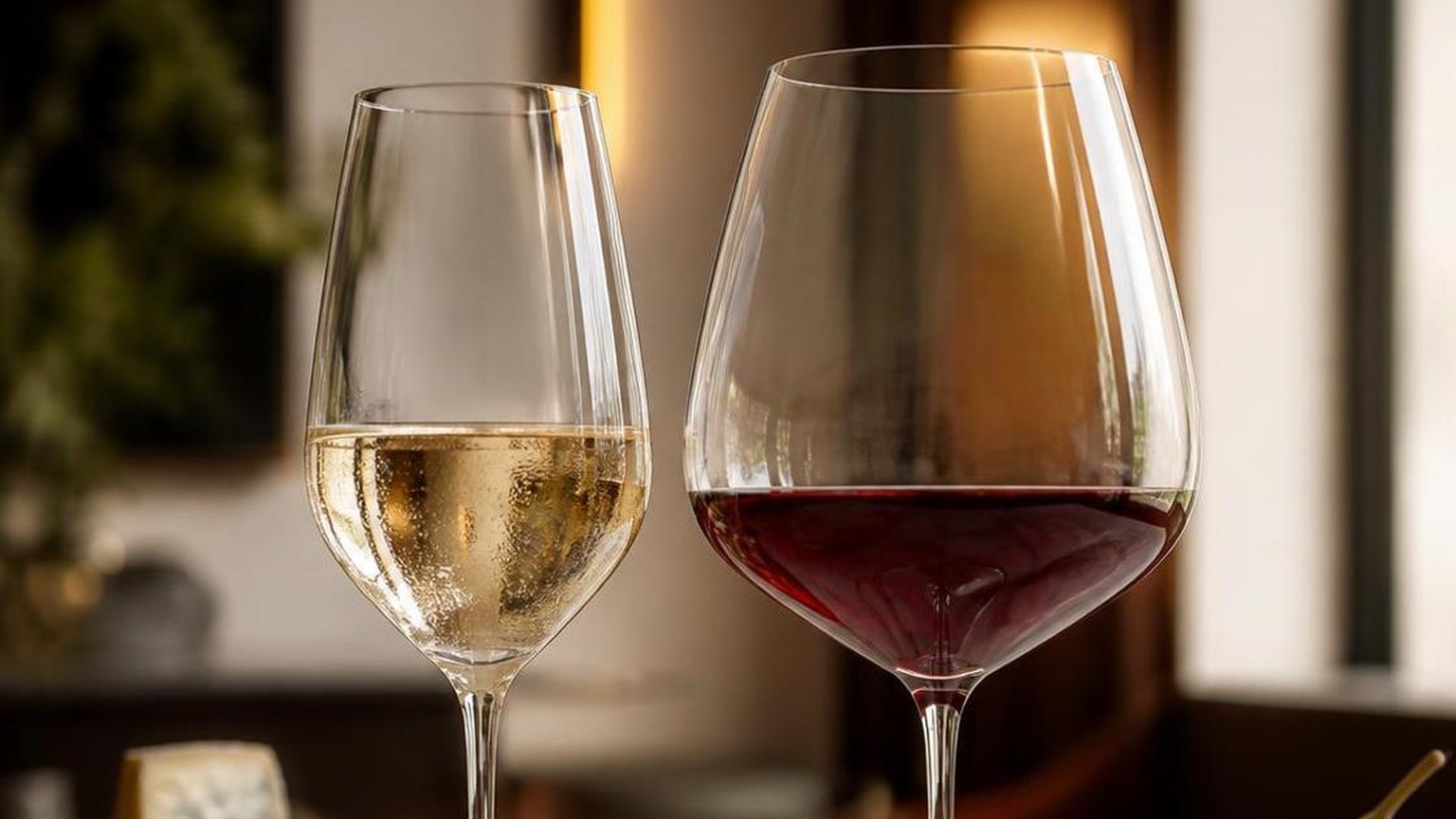 What Is the Difference Between White and Red Wine Glasses? 2 What Is the Difference Between White and Red Wine Glasses? — explained with facts and figures in this guide