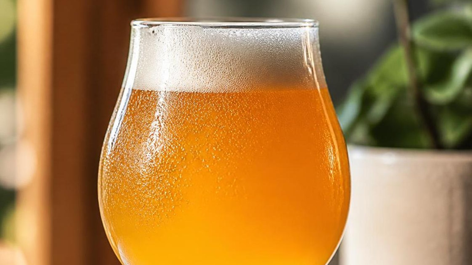 Good People Hazy Snake Beer Review and Details — explained with facts and figures in this guide
