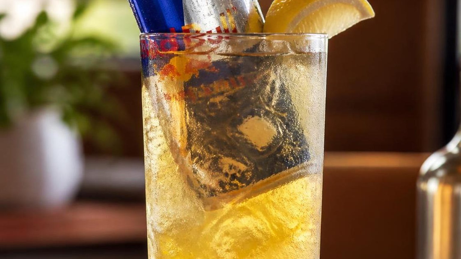 What Is in a Trash Can Drink with Red Bull? 2 What Is in a Trash Can Drink with Red Bull? — explained with facts and figures in this guide