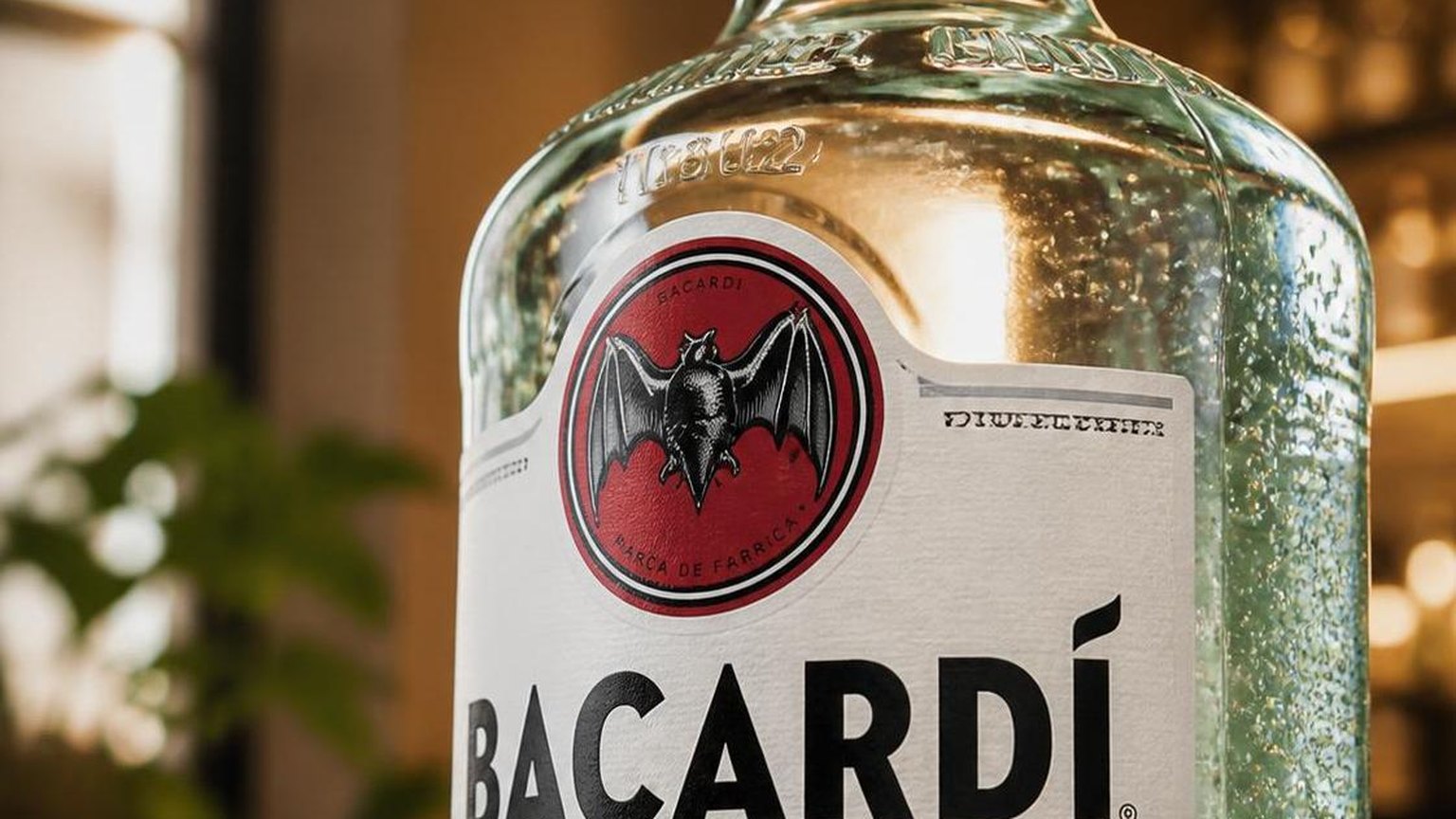 What Proof Is Bacardi White Rum? 9 What Proof Is Bacardi White Rum? — what the numbers show