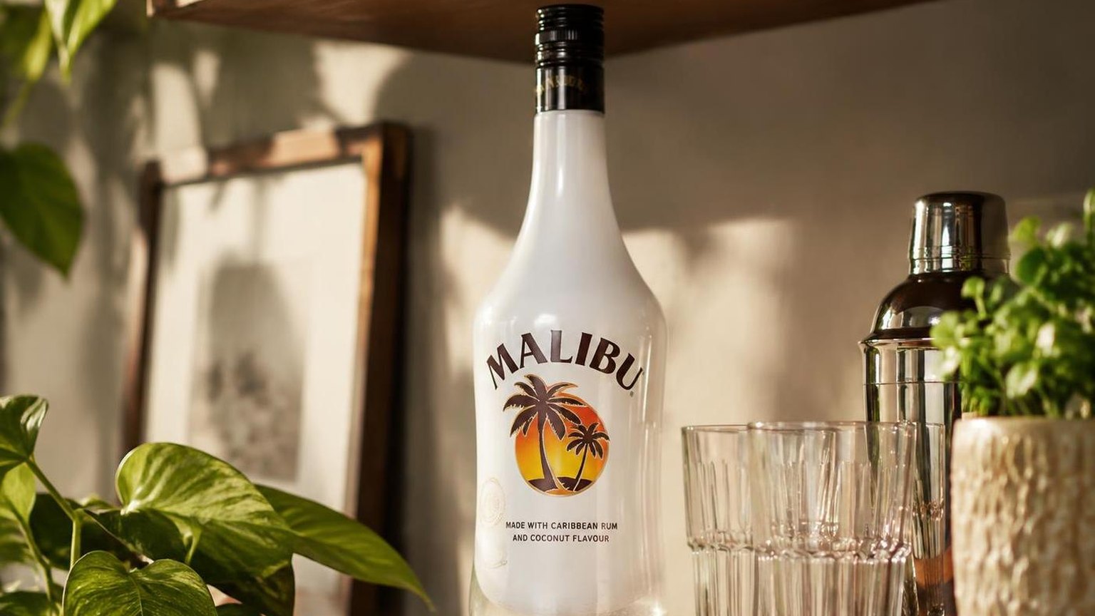 How Many Calories Are in Malibu Coconut Rum? 8 How Many Calories Are in Malibu Coconut Rum? — common questions, answered plainly