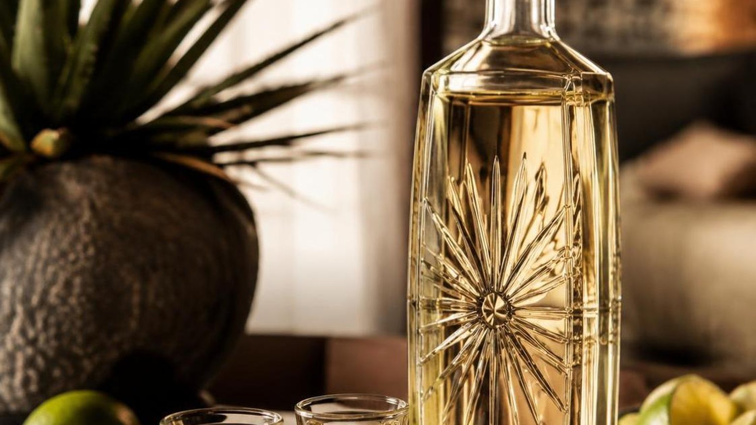What Is The Smoothest Tequila For Shots? — the details worth knowing