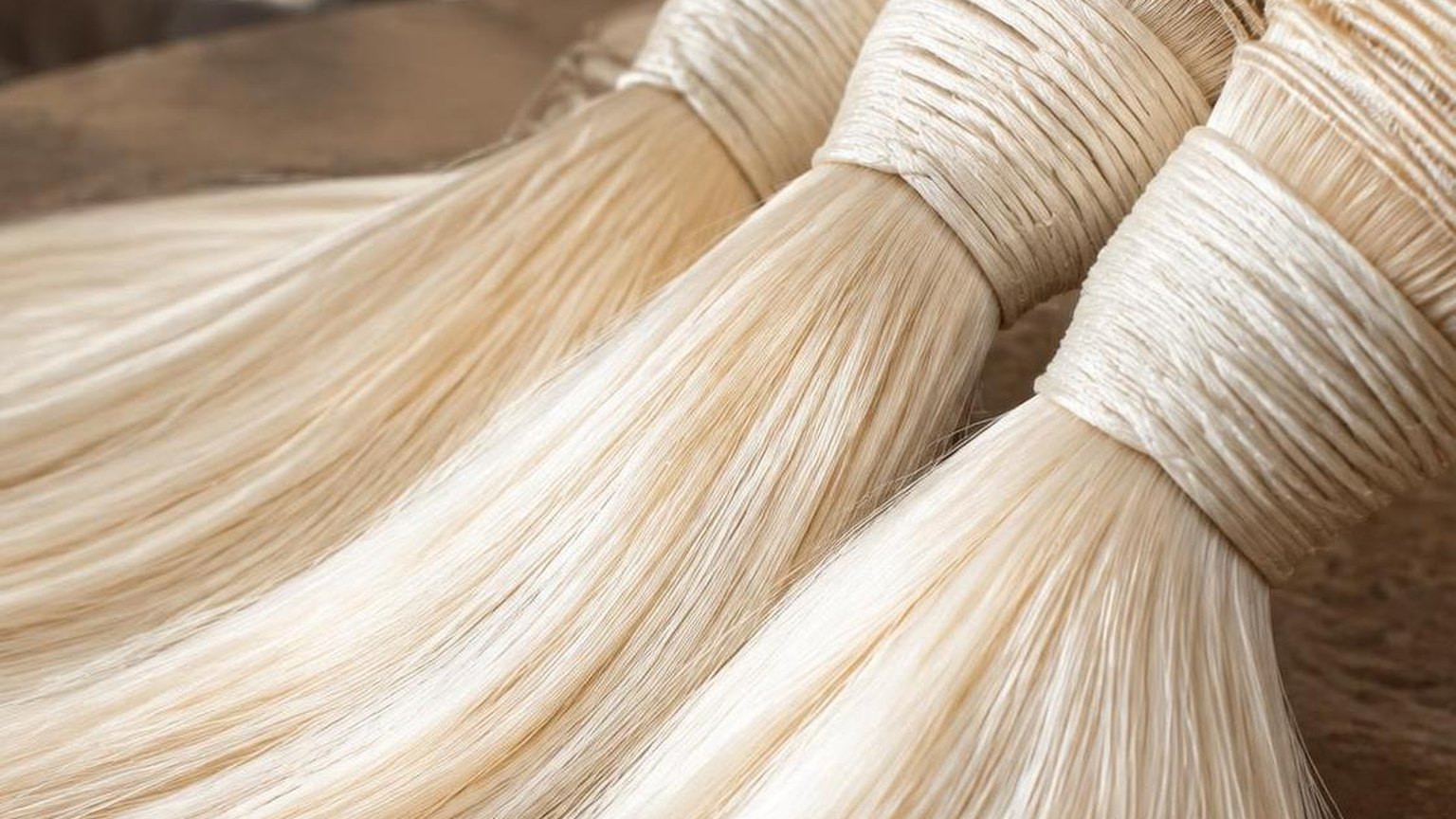 What Is White Remy? — the details worth knowing