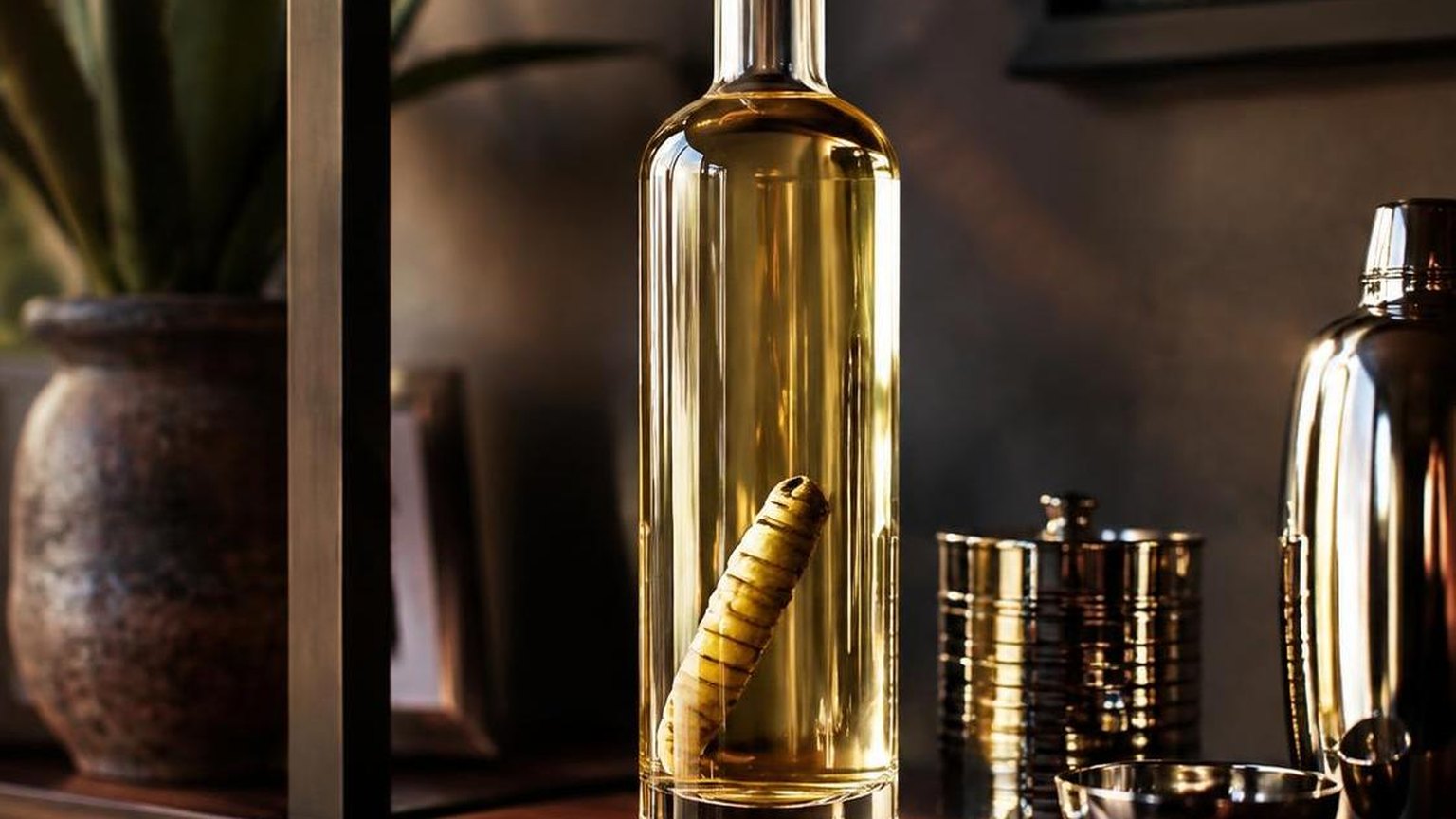 What Tequila Has A Worm In It? The Most Accurate Answer 6 What Tequila Has A Worm In It? at a glance