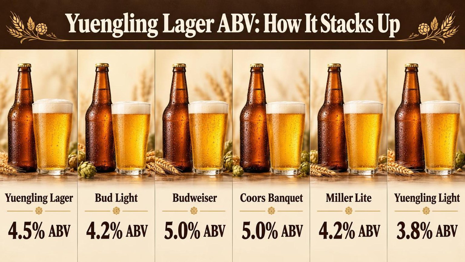 What Is the Alcohol Content of Yuengling Lager? 1 Yuengling Lager ABV: How It Stacks Up — what the data shows